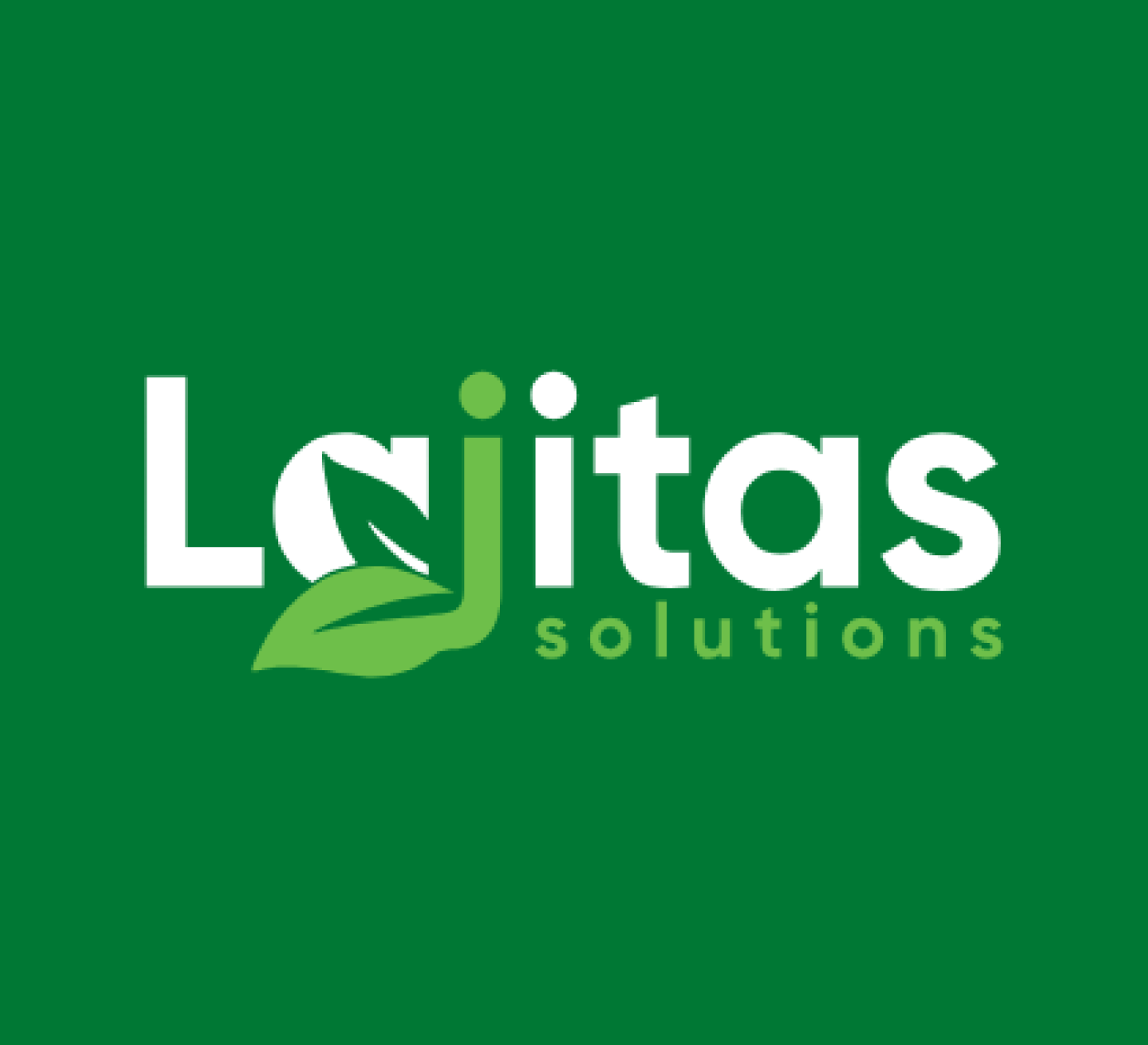 Lajitas Solutions